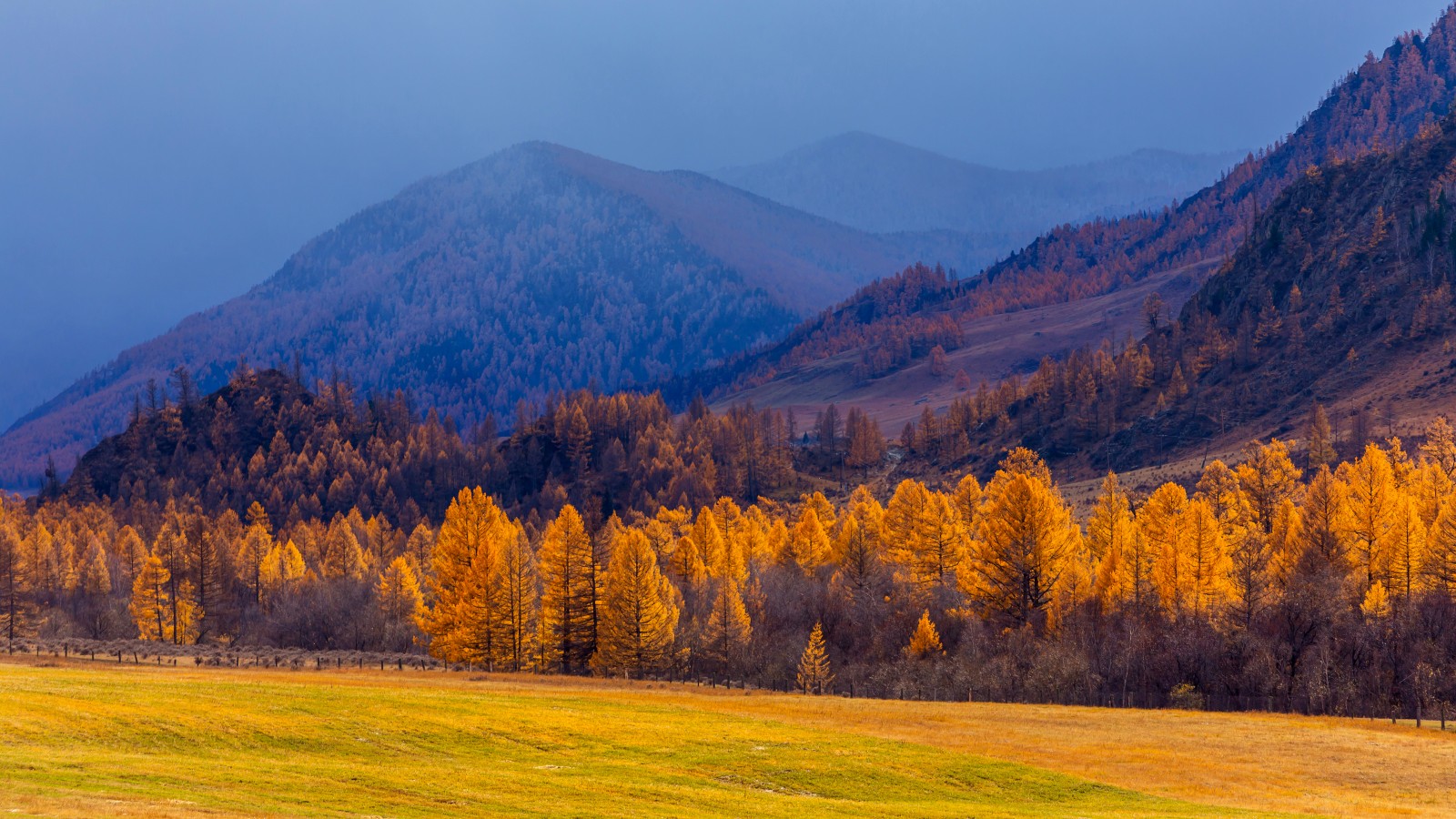 ОСЕННИЙ АЛТАЙ